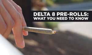 The Growing Popularity of Delta 8 Prerolls: Trends in 2024