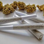 THCa Pre-Rolls in High Demand: What Consumers Should Know About Quality