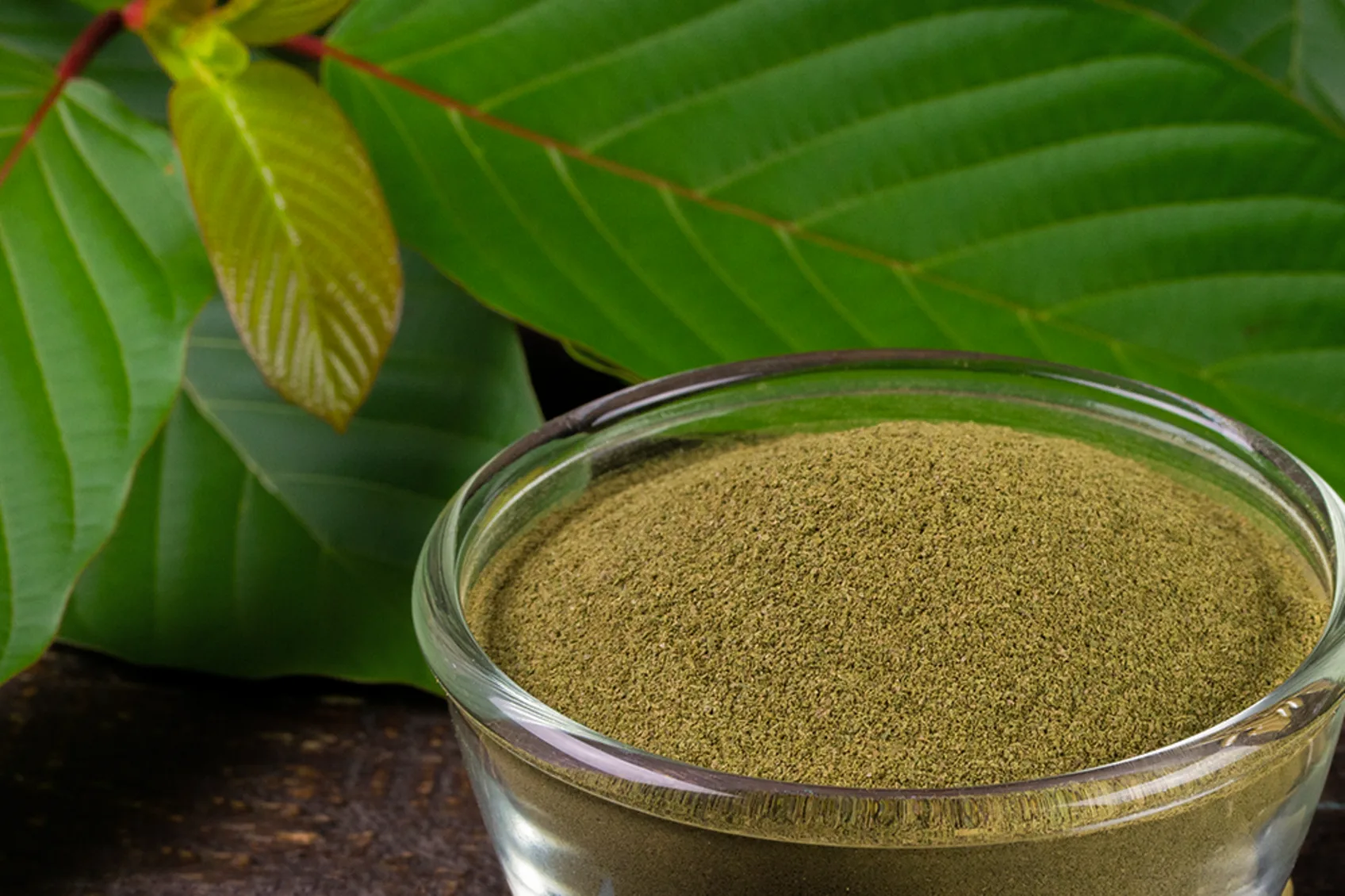 difference between green and white kratom